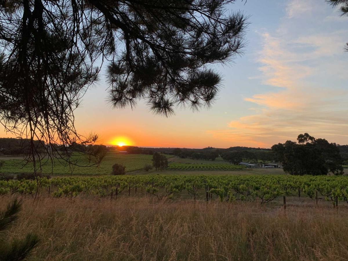 Bella Cosa Villa Mclaren Vale Eksteriør bilde